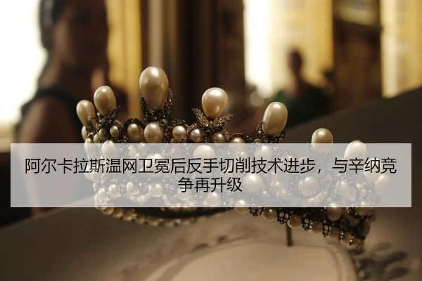 a-er-ka-la-si-wen-wang-wei-mian-hou-fan-shou-qie-xiao-ji-shu-jin-bu-yu-xin-na-jing-zheng-zai-sheng-ji-2-490.jpg